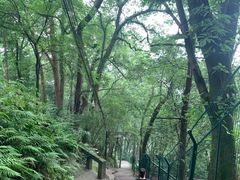 -古道第一家餐馆