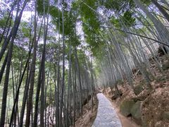 -黄山翡翠谷景区