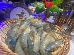 -加餐海鲜自助(宝龙一城店)