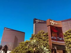 -拉斯维加斯永利酒店