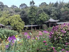 -广州市白云山风景名胜区