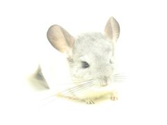 -龙猫仔乐园(惠福东路店)