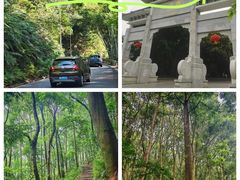 -广州市帽峰山景区