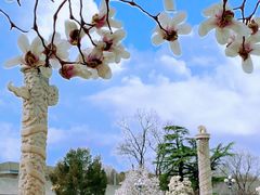 -国家图书馆·古籍馆