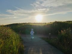 -春花秋色城市公园