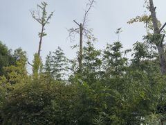 -广元千佛崖