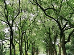 -东湖落雁景区