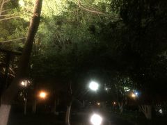 -常州古运河南大街文化旅游区-人民公园