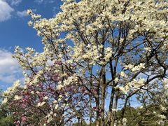 -宝业会稽山高尔夫俱乐部