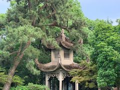 -浙江西子宾馆·牡丹厅