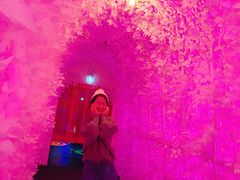 -爱来魔相4D艺术馆(济州中文馆)