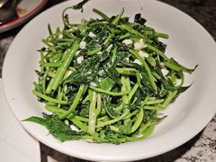 拍蒜炒红薯叶-新白鹿餐厅(松江开元地中海店)