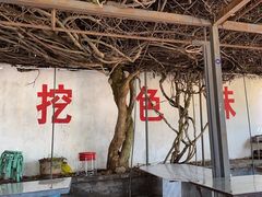 -挖色菜香园(大理店)