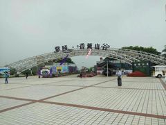 -紫颐香薰山谷景区