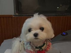 -沐森 •疗愈头疗馆(打浦桥店)