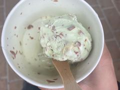 -Dooley's Premium Ice Cream