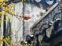 -绮园景区