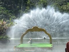 -西双版纳原始森林公园