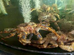 -紫阳海鲜楼·传承闽味(长乐路总店)