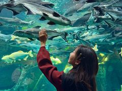 -波塞冬旅游度假区