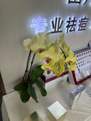 -苗方清颜专业祛痘·皮肤管理
