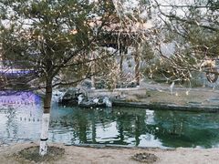 -春风习习