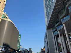 -新雅粤菜馆(南京东路店)