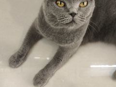 -平行世界·猫咖(首经贸店)
