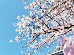 -南浦大桥长途旅游客运站