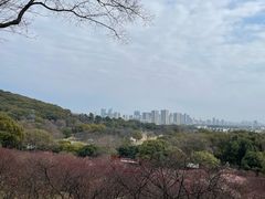 -无锡梅园公园