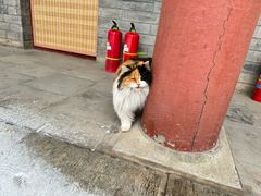 -白云观
