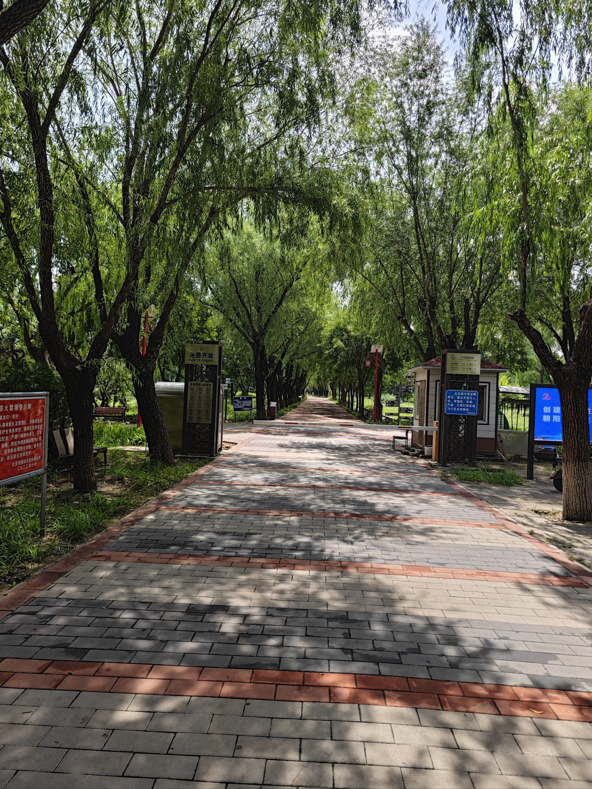 京城梨园夏天也不错