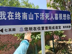 -活死人墓