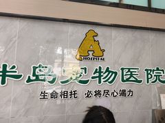 -半岛宠物医院24小时(科华中路店)