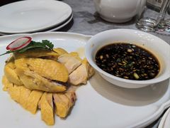 -老绍兴养和饭店(向阳不夜城店)
