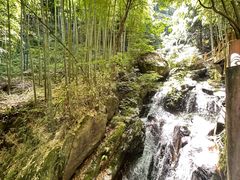 -藏龙百瀑风景区