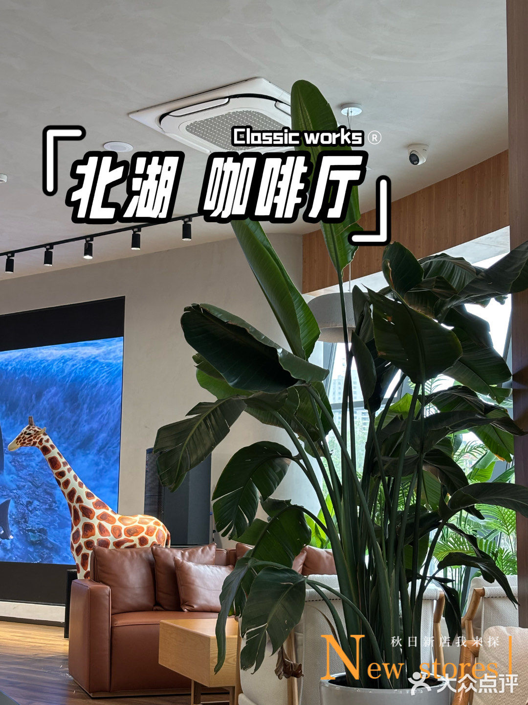 咖啡厅里的时尚休息角