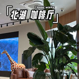 咖啡厅里的时尚休息角