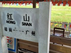 -红山村