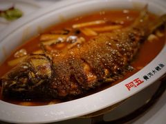 -阿五黄河大鲤鱼(海尚店)
