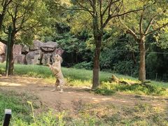 -杭州野生动物世界