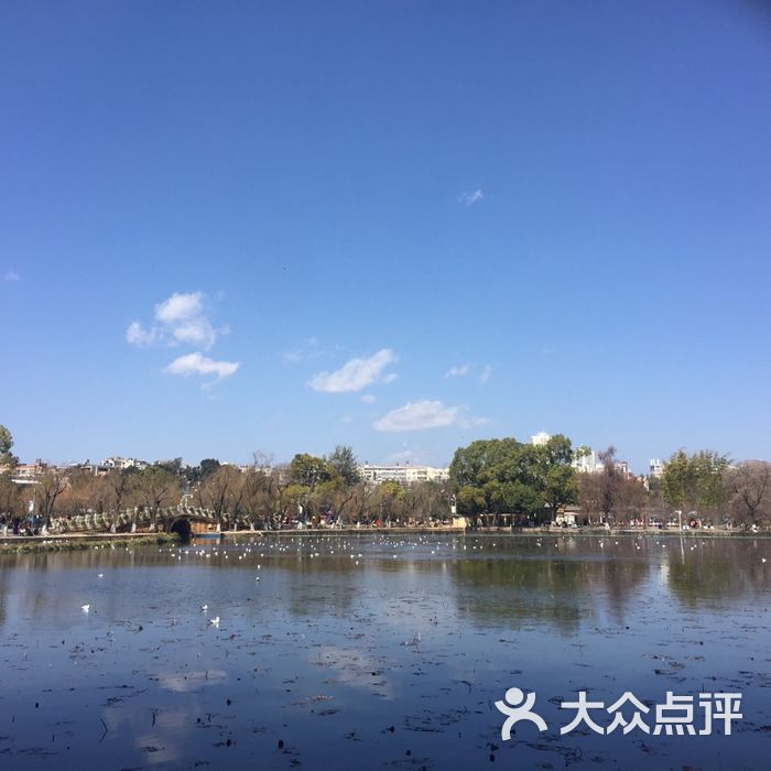 金碧公园图片-北京公园-大众点评网