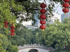 -荔湾湖公园