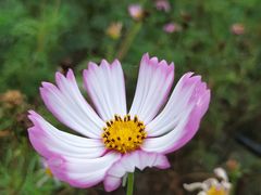 -天津东丽湖风景区