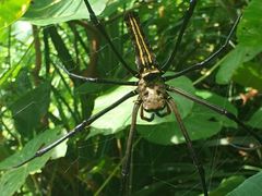 -龙坑生态保护区