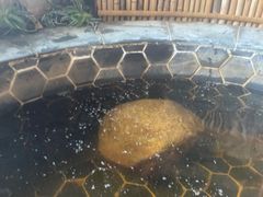 -泉城欧乐堡戏水湾艺术养生温泉