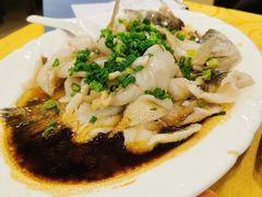 特色香葱淋鲈鱼-粤·向群饭店(泮塘路店)