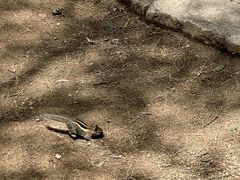 -洛阳白云山景区