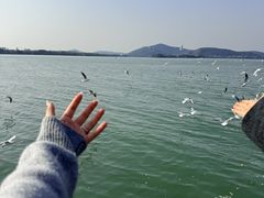 -蠡湖大桥公园