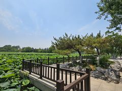 -云龙湖旅游景区